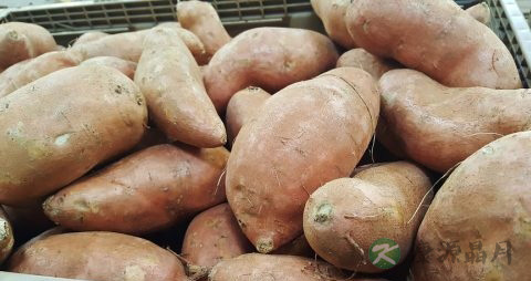 胃寒症状有哪些