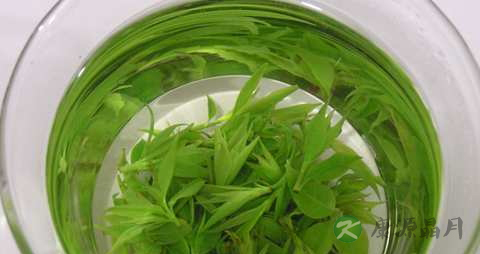 喝绿茶伤胃吗 喝绿茶伤胃吗