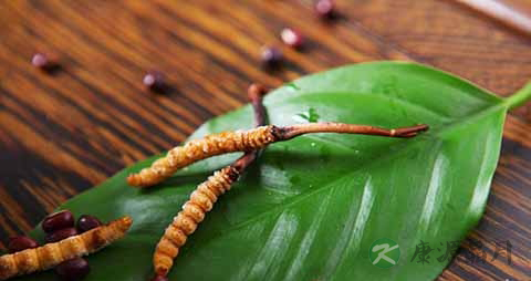 化疗后吃冬虫夏草好吗 化疗后吃冬虫夏草好吗