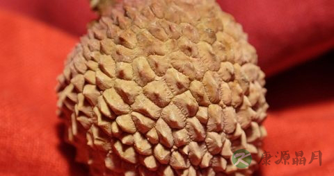 夏天西瓜吃多了好吗 夏天西瓜吃多了好吗