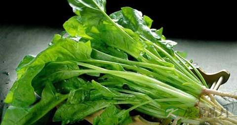 鸡肉和菠菜能一起吃吗