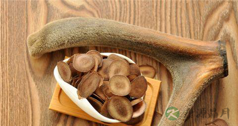 哪些人不能吃鹿茸 哪些人不能吃鹿茸