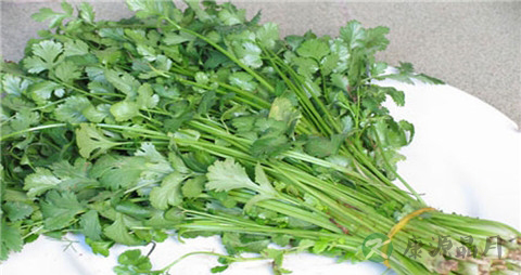 香菜吃多了好吗 香菜吃多了好吗
