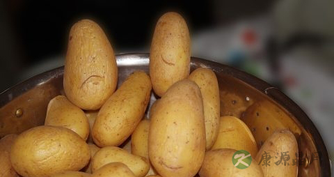 土豆长牙剜掉能吃吗 土豆长牙剜掉能吃吗