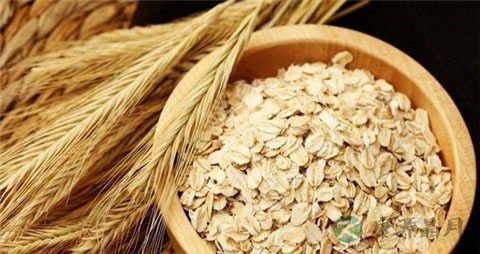 燕麦是碱性食品吗 燕麦是碱性食品吗