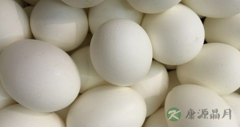 宝宝为什么不能吃蛋白 宝宝为什么不能吃蛋白