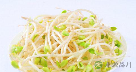 黄豆芽的食用禁忌 黄豆芽的食用禁忌