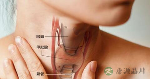 甲状腺偏高不能吃什么 甲状腺偏高不能吃什么