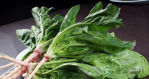 菠菜吃多了好吗 菠菜吃多了好吗