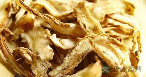 当归可以每天吃吗 当归可以每天吃吗