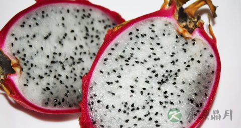 火龙果可以每天吃吗 火龙果可以每天吃吗