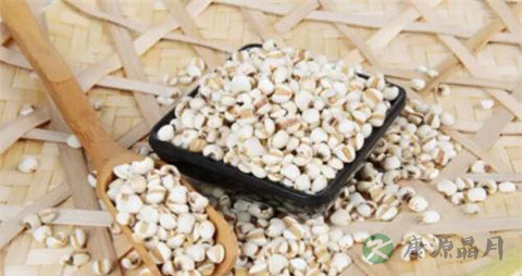 薏仁的作用与功效 薏仁的作用与功效