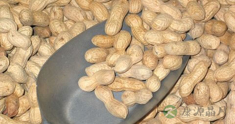 醋泡花生米的功效 醋泡花生米的功效