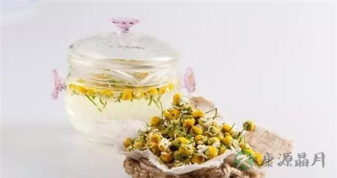 洋甘菊花茶的作用 洋甘菊花茶的作用