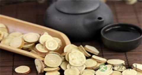黄芪泡水的作用 黄芪泡水的作用