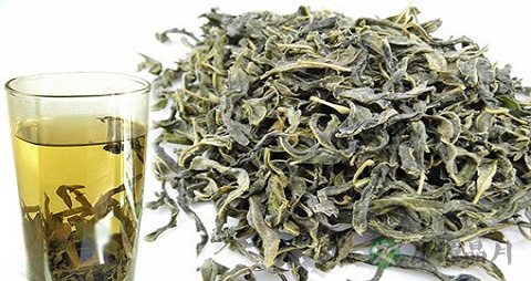 罗布麻茶能降血压吗 罗布麻茶能降血压吗