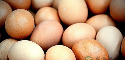 产妇酒糟鸡蛋可以每天吃吗 产妇酒糟鸡蛋可以每天吃吗