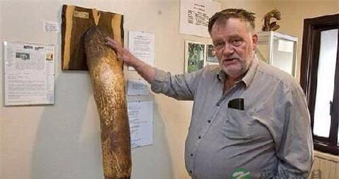 世界最长的男性殖器官 世界最长的男性殖器官