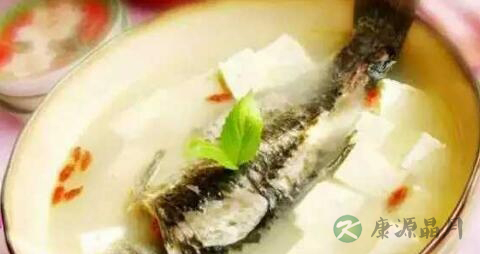 能补充钙的食物 能补充钙的食物