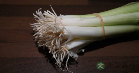 风热型热伤风怎么办
