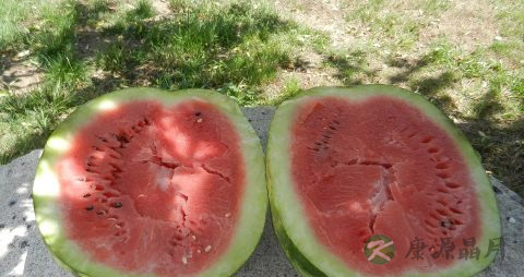 热伤风感冒偏方