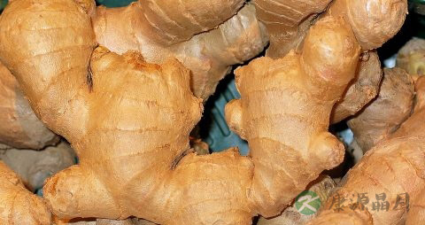 感冒与伤风的区别