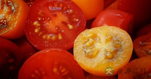 冬季伤风感冒发烧吃什么药