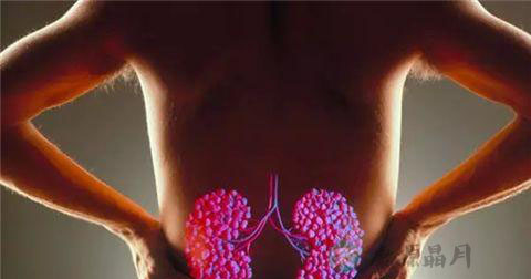 肾萎缩是怎么回事
