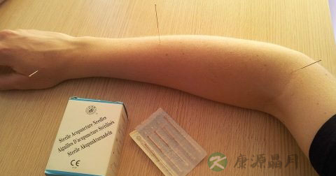 补阳的食疗 补阳的食疗