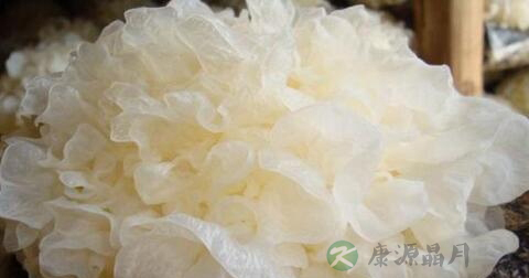 慢性肾小球肾炎饮食原则 慢性肾小球肾炎饮食原则