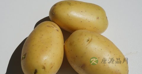 慢性肾小球肾炎能吃土豆吗