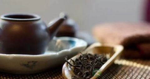 喝茶对肾有伤害吗
