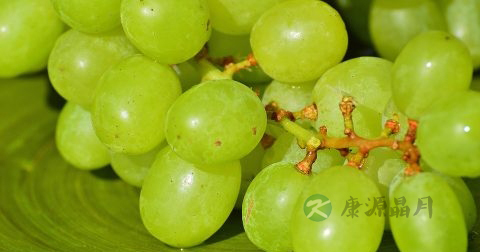 清润养肺汤 清润养肺汤