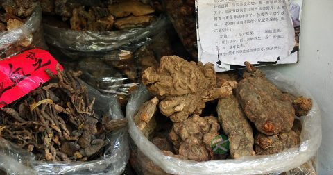 特发性肺纤维化怎么办 特发性肺纤维化怎么办