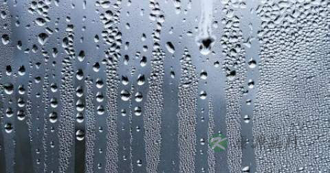 支气管炎到肺炎的过程