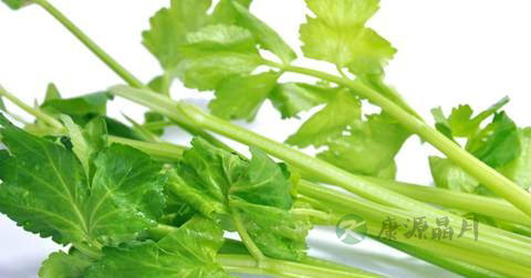 肝热吃什么排毒最快 肝热吃什么排毒最快