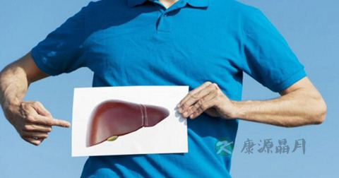肝脏最主要的功能