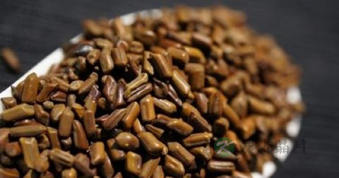 什么泡茶喝养肝