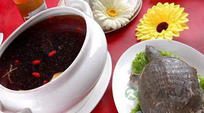 肝火旺吃什么好 12道食疗降肝火 肝火旺吃什么好 12道食疗降肝火