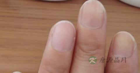 哪些食物可以排肝毒 哪些食物可以排肝毒