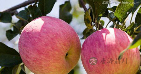 肝硬化吃哪些食物好