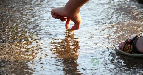 十二指肠炎的危害