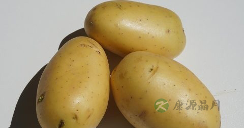 十二指肠糜烂的治疗