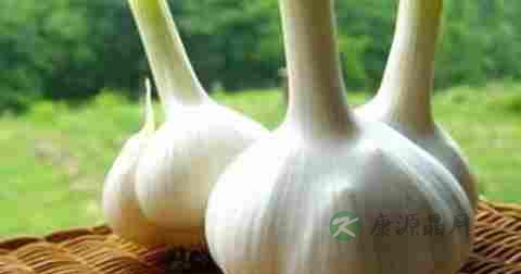 肠道排毒食疗 肠道排毒食疗