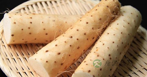 调理肠道的食物 调理肠道的食物