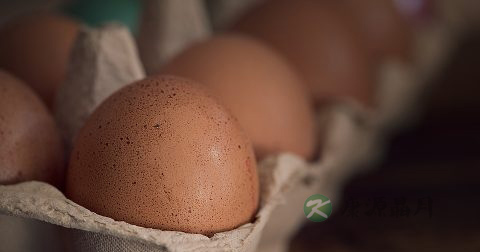 十二指肠溃疡患者食谱