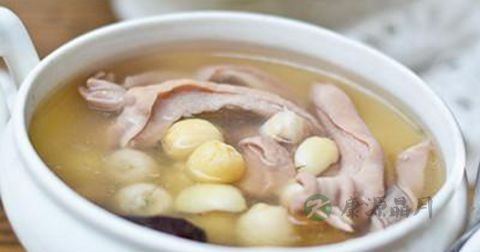 调理肠道的食物 调理肠道的食物
