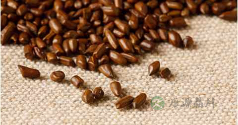 决明子可以加蜂蜜吗 决明子可以加蜂蜜吗