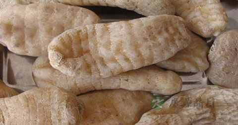 鲜天麻有毒吗 鲜天麻有毒吗