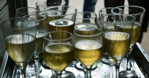 人参和蛇能一起泡酒吗 人参和蛇能一起泡酒吗